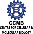 Collaborator Logo