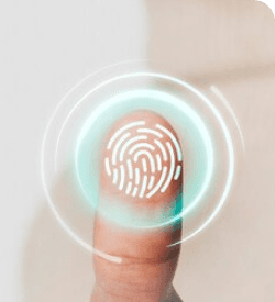 Disputed Fingerprints (FP)