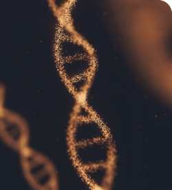 DNA Profiling